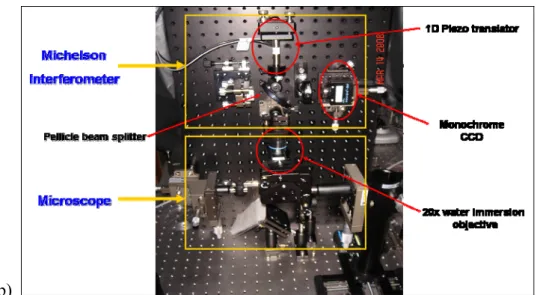 Figure 1: Schematic diagram (a) and a photograph (b) of the white-light hyperspectral imaging  system 