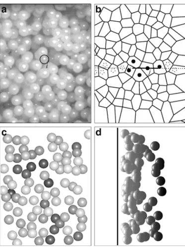 Figure 5c and d show the reconstructed 3D dispersion of particles resulting from application of the complete stereo matching procedure