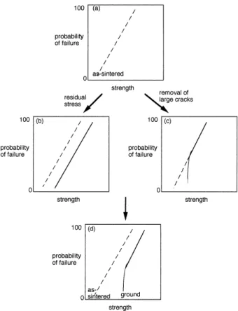 Fig. 5. (a) The strength distribution of the as-sintered speci- mens. (b) The Weibull distribution of the as-sintered  speci-mens is shifted to its right by introducing residual stress