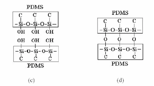 圖 18 PDMS 與 PDMS 接合原理【34】，（a）常溫常態下，（b）氧電漿處理，（c）對準，