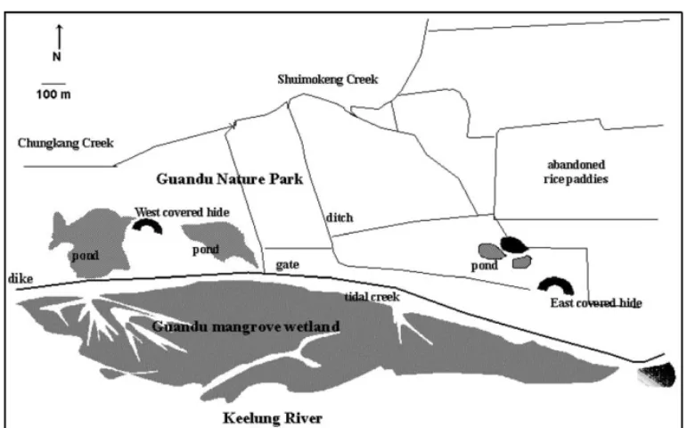 Fig. 1. The location map of the Guandu mangrove wetland. The study site located near the confluence of Keelung River flowed to west direction and Tanshui River flowed to north direction
