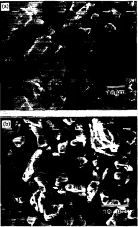Fig.  1. The  morphology  of  the  (a)  as-received  NiAl  powder  and  (b)  Nii  particles  in  the  &amp;O&amp;Vii1  powder  mixtures  after  milling,  The  A&amp;O3  pow-  der  in  (b)  was  removed  by  washing  with  wafer