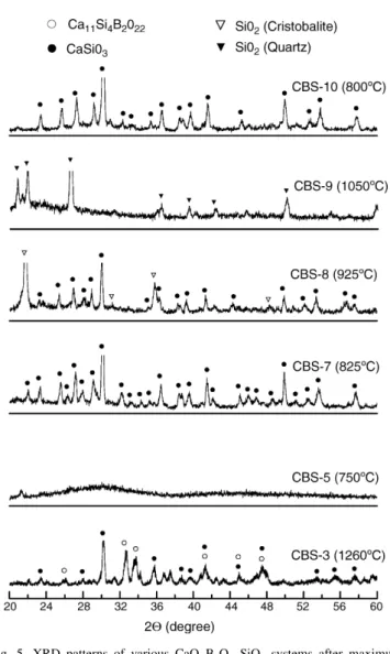 Fig. 5. XRD patterns of various CaO–B 2 O 3 –SiO 2 systems after maximum density were obtained.