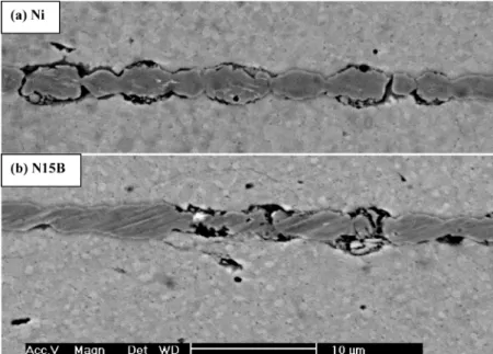 Fig. 2. SEM micrographs between BT ceramics and electrode layer of (a) pure Ni; and (b) 15 mass% BT-doped Ni