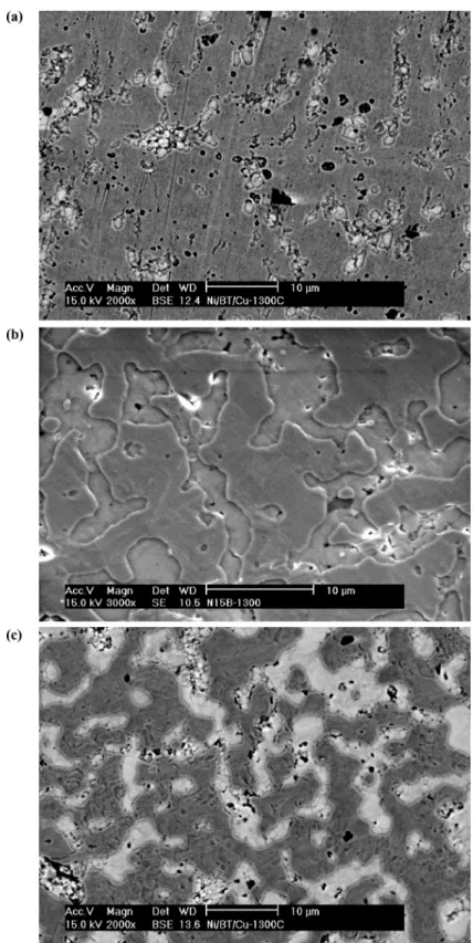 Fig. 6. SEM micrographs of the polished surfaces of (a) N15B, (b) N15B30C, and (c) N30B30C composites after sintered at 1300 ◦ C for 1 h in 5%H 2 /N 2 atmosphere