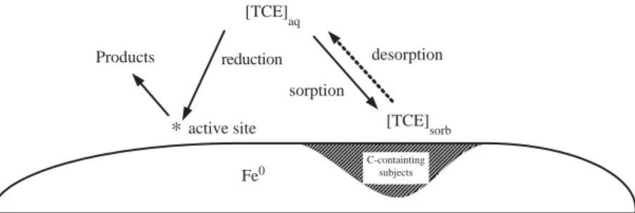 Fig. 1. A simpliﬁed conceptual model consisting of sorption/desorption and reduction for TCE by iron with graphite inclusions in a closed batch system.