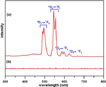Fig. 10. PL spectra of calcined sample: (a) Y-4a and (b) Y-4b at 800 ◦ C for 2 h.