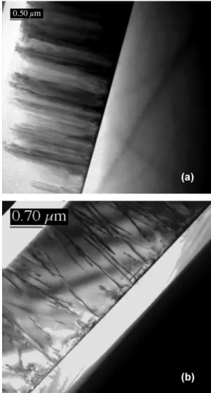 Fig. 1 shows the bright field cross-section TEM (XTEM) images of the undoped GaN sample A (Fig