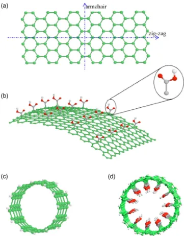 FIG. 1. 共a兲 A hexagonal graphite sheet to create a zig-zag or armchair nanotube by rolling up along x or y axis; 共b兲 A graphite sheet with active –COOH groups; 共c兲 A armchair SWNT with a diameter of 8.15 Å; 共d兲 A hydrophilic SWNT decorated with –COOH group