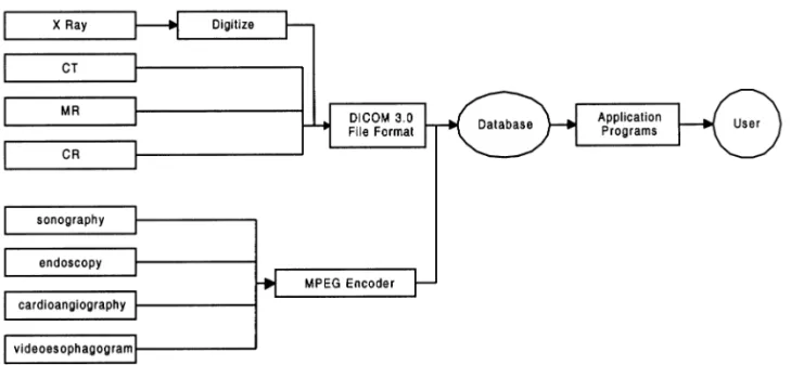 Fig. 2. The workflow of image acquisition.