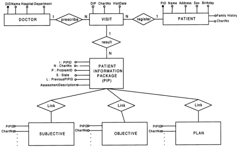 Fig. 3. Entity-relation (ER) diagram of PIP-based medical database