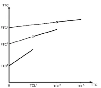 Fig. 2. Piecewise linear relation (solid lines) between transport cost, TTC, and shipment quantity, TTQ.