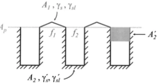 FIG. 1. Schematic representation of a heterogeneous surface containing two types of roughness