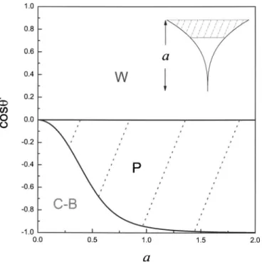 FIG. 3. The phase diagram for concave pores created by the revolution of y = x 1/3 about the y axis