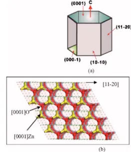 FIG. 1. 共Color online兲 共a兲 Hexagonal wurtzite crystal structure of ZnO 共0002兲; 共b兲 symmetrical structure of Zn–O bonding on the surface of ZnO 共0002兲.