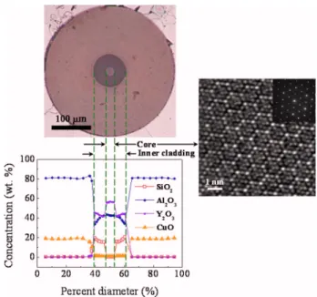 Figure 1 shows a polished end face of a Cr 4+ : YAG DCF mounted in the Cu–Al alloy together with the corresponding line-scan composition profiles