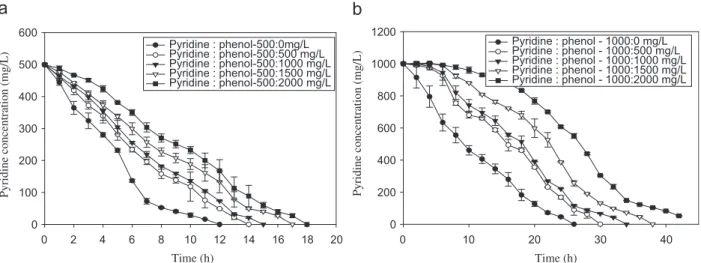 Fig. 3 – Influence of different initial phenol concentrations on pyridine degradation.