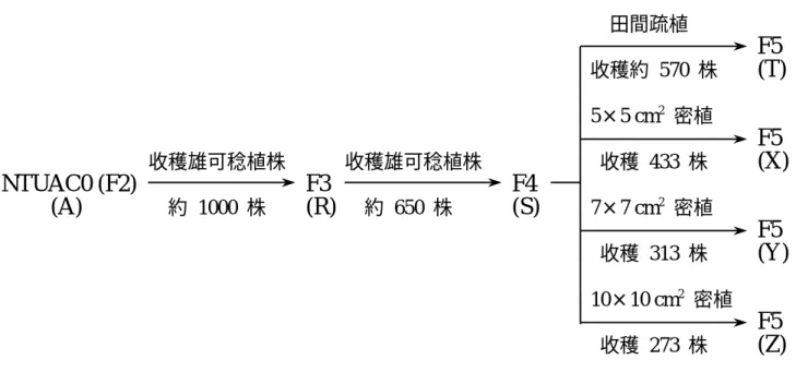 Table 1.    Significant tests of agronomic character means for different generation populations planted in the spring of 1997 at Taipei.