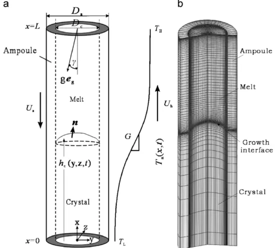 Fig. 1. (a) Schematic sketch of a Bridgman YAG growth and (b) a sample mesh (mesh M2) for simulation.