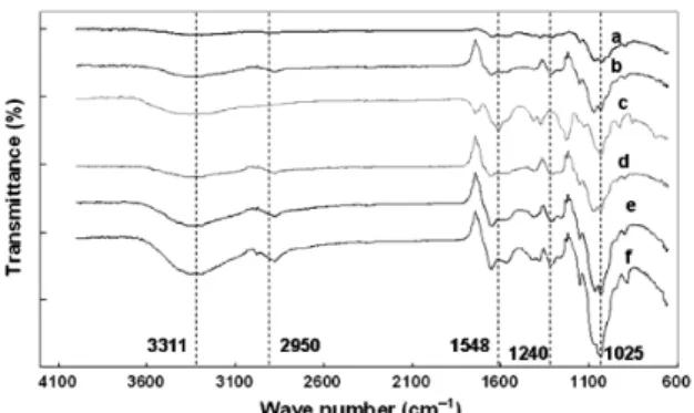 Fig. 8. Microscopic images of GF cells cultured on the surfaces of TCPS, CH (100/0) and CH/CS (90/10) for different times
