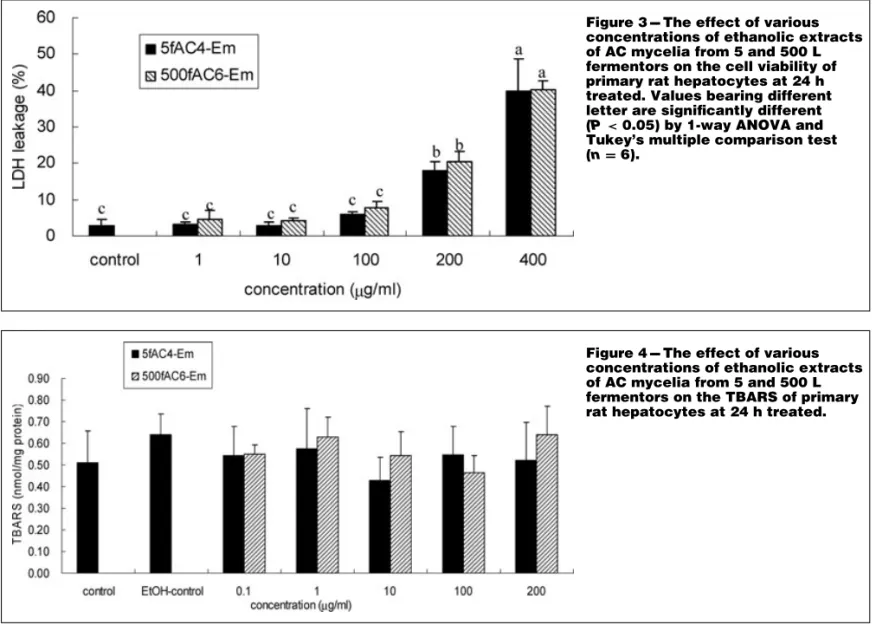 Figure 3 --- The effect of various concentrations of ethanolic extracts of AC mycelia from 5 and 500 L fermentors on the cell viability of primary rat hepatocytes at 24 h treated