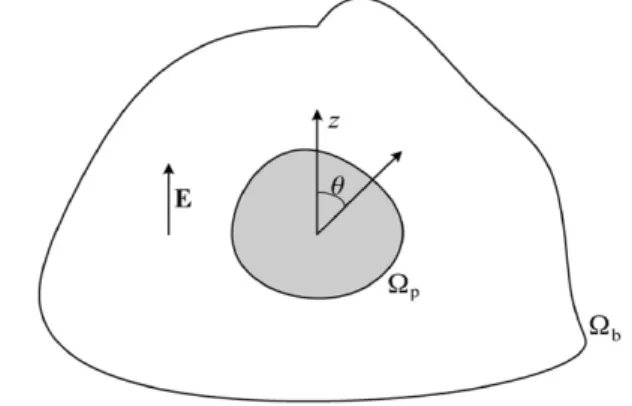Fig. 1. Schematic representation of the problem considered where a colloidal particle of surface Ω p is placed in a medium, which may have a boundary of surface Ω b 