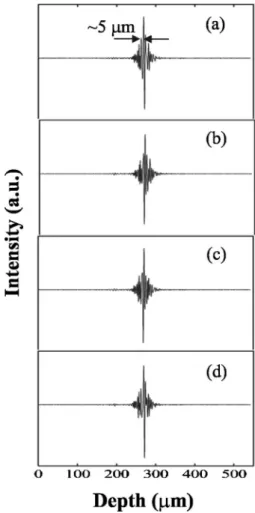 Fig. 1 Setup of the PSOCT system. PBS: polarization beam splitter; BS: