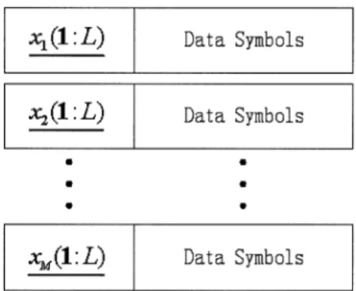 Fig. 1. The burst data structure for M -antenna transmission.