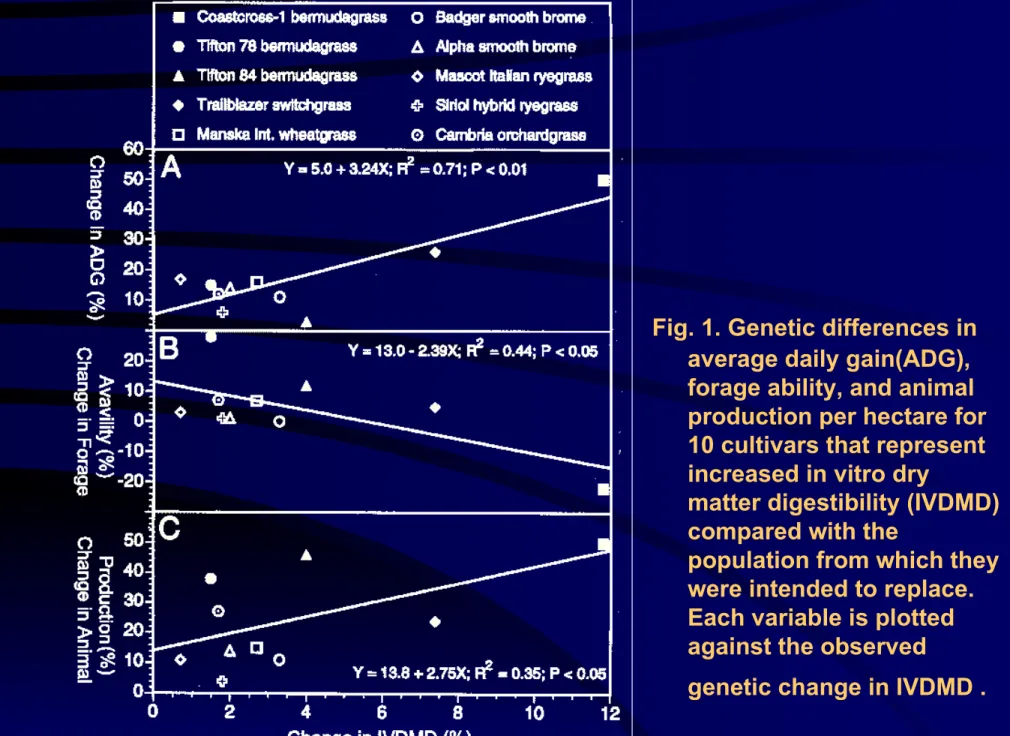 Fig. 1. Genetic differences in  average daily gain(ADG),  forage ability, and animal  production per hectare for  10 cultivars that represent  increased in vitro dry 