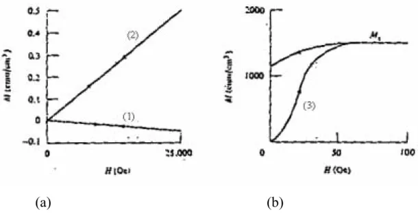 Fig. 3-2. The typical magnetization curves of, (1) diamagnetic  material, (2) paramagnetic material and (3) ferromagnetic  material (Cullity, 1972)