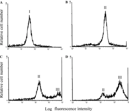 Fig. 3. Flow cytometry analysis of FITC-24p3 protein binding and internalization. Use of ﬂow cytometry to detect the status of spermatozoa as- as-sociated with FITC-labeled 24p3 protein