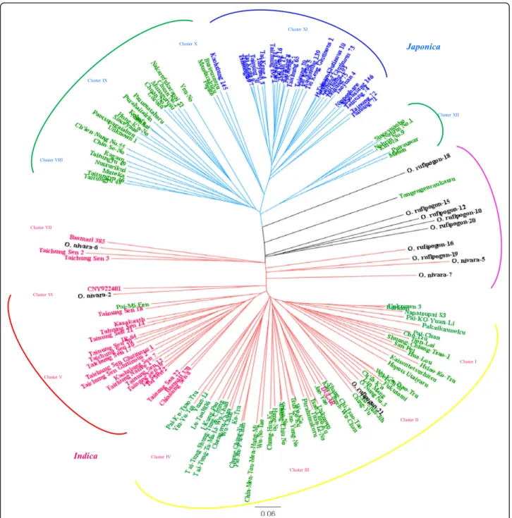 Figure S3b). Most accessions were classified into the ex- ex-pected groups according to the records of the National Plant Genetic Resource Center (NPGRC) Taiwan that were classified by plant and seed morphology, however some were incongruent due to admixed