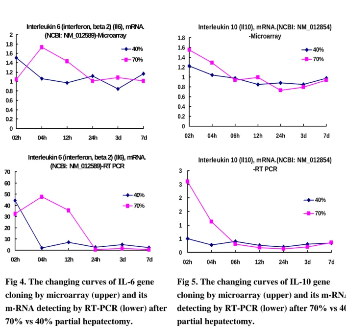 Fig 4. The changing curves of IL-6 gene  cloning by microarray (upper) and its  m-RNA detecting by RT-PCR (lower) after  70% vs 40% partial hepatectomy