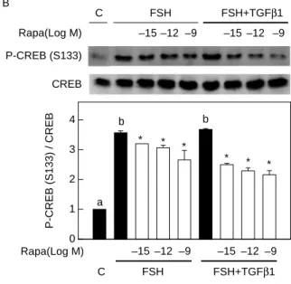 Figure 10 Dose-dependent effect of mTORC1 inhibitor on FSH and TGFb1-activated PI3K and PKA signaling transcription factors in rat granulosa cells