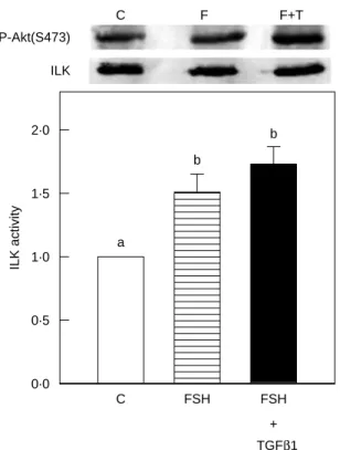 Figure 4 Regulatory effect of FSH and TGFb1 on ILK kinase activity in rat granulosa cells