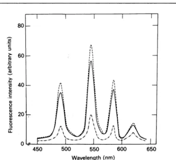 Fig. 3. Emission spectra of Tb3+ in the presence of /I,-BuTX or CNBr-/)l-