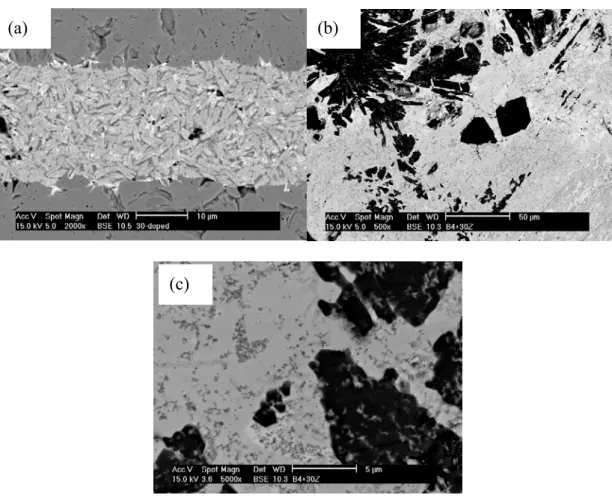 Fig. 2.14 SEM cross-section images of 30 wt% ZrO 2  doped B4-glass with 650 o C (a)  10 hr and (b) 100hr heat-treated