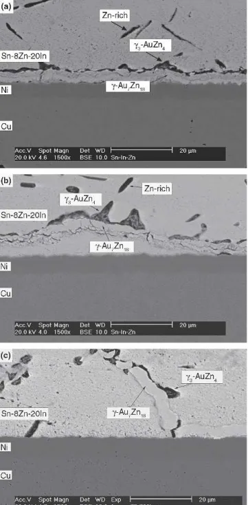 Fig. 7. Morphology of intermetallic compounds formed in Sn-8Zn- Sn-8Zn-20In solder BGA packages with Au/Ni/Cu pads after aging at 115°C for various times: (a) 100 h, (b) 300 h, and (c) 1000 h.