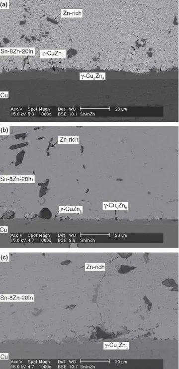 Fig. 9. Morphology of intermetallic compounds formed in Sn-8Zn- Sn-8Zn-20In solder BGA packages with Ag/Cu pads after aging at 115°C for various times: (a) 100 h, (b) 300 h, and (c) 1000 h.