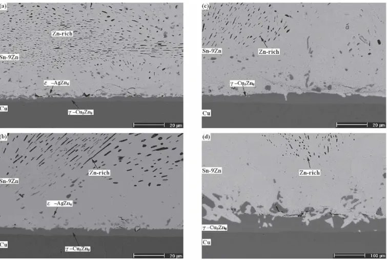 Fig. 8. Microstructure of intermetallic compounds formed in the Sn-9Zn solder BGA packages with Ag/Cu pads after aging at 100°C for various time periods: (a) 100 h, (b) 300 h, (c) 700 h, and (d) 1000 h.