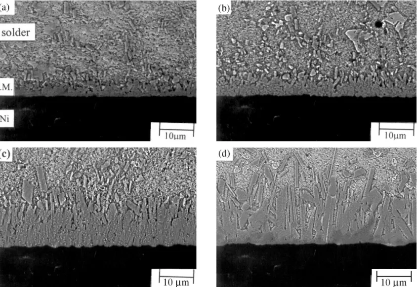 Fig. 4. Morphology of the intermetallic compounds formed during the interfacial reactions between Sn-20In-2.8Ag solder and Ni substrates at 350°C for various times: (a) 15 min, (b) 30 min, (c) 45 min, and (d) 90 min.