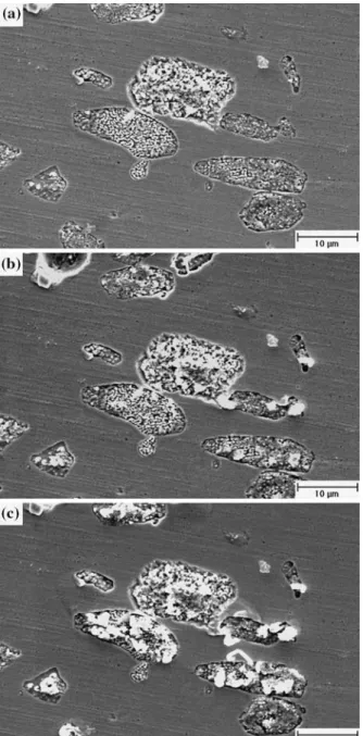 Fig. 3. Tin whisker growth on the surface of oxidized (La 0.93