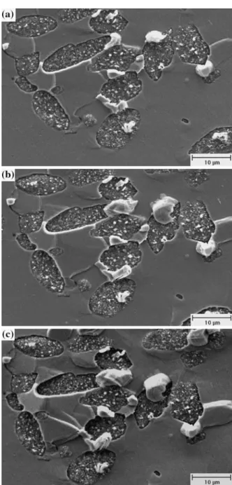 Fig. 5. Hillock formation on the surface of oxidized (La 0.93 Ce 0.07 )Sn 3