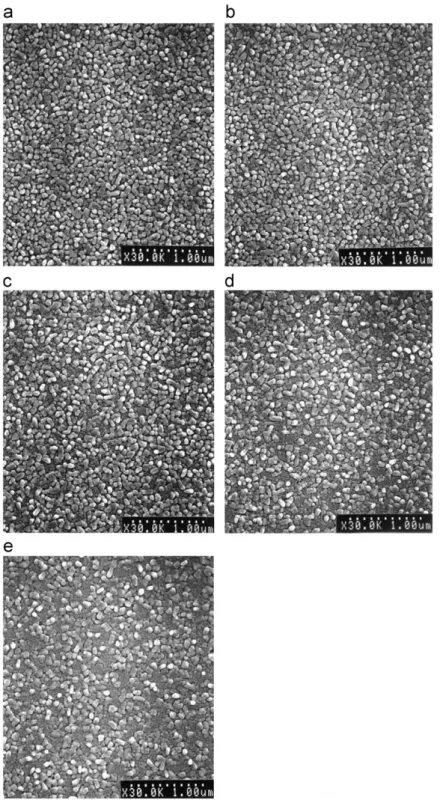 Fig. 1 shows the XRD patterns of (Sr 0.5 Ba 0.5 )Bi y Ta 2 O z
