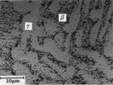 Fig. 1. Microstructure of the eutectic In-49Sn solder.