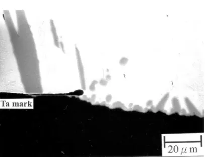 Table I. Chemical Compositions (At.%) of Intermetallic Compounds (IMs) Formed during Interfacial Re- Re-actions between Liquid Sn-3.5Ag Solders and Cu Substrates at Various Temperatures