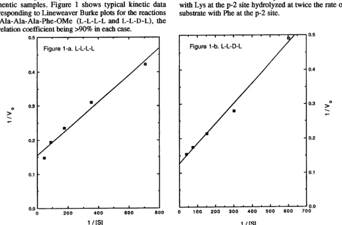 Figure  1.  Lineweaver  Burke  plots  for  the  akalase-catalyzed  hydrolysis  of  Ala-Ala-Ala-F’he-OMe