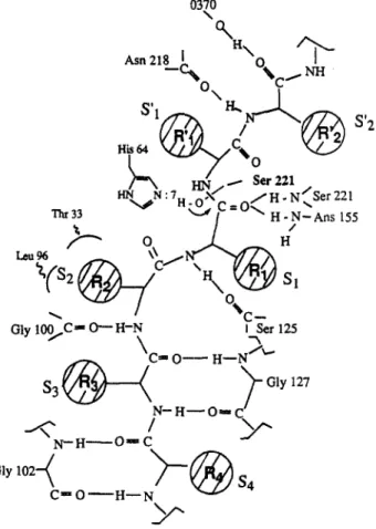 Figure  2.  Diastereoselectivity  of  alcalase,  subtiliin  Carlsberg,  and  Nagarse  catalyzed  hydrolysis  of  four  pairs  of  peptide-diastereomers 