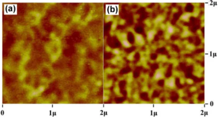 Fig. 4. Domain structures of (a) FePt/Pt/Cr and (b) (FePt) –(MgO) /Pt/Cr trilayer films.