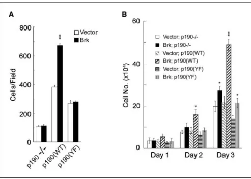 Figure 5. p190 overexpression partially rescues the migration and proliferation defects induced by Brk silencing